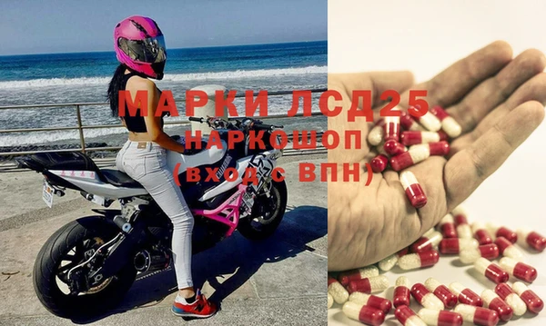 spice Магас
