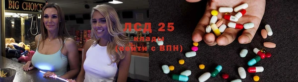 мескалин Майский