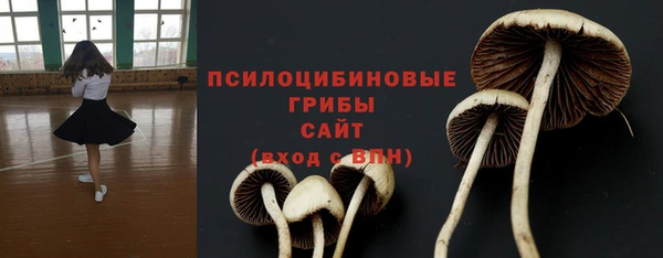 мескалин Майский