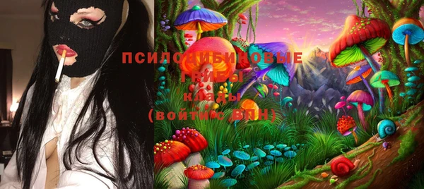 spice Магас
