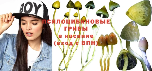 мескалин Майский