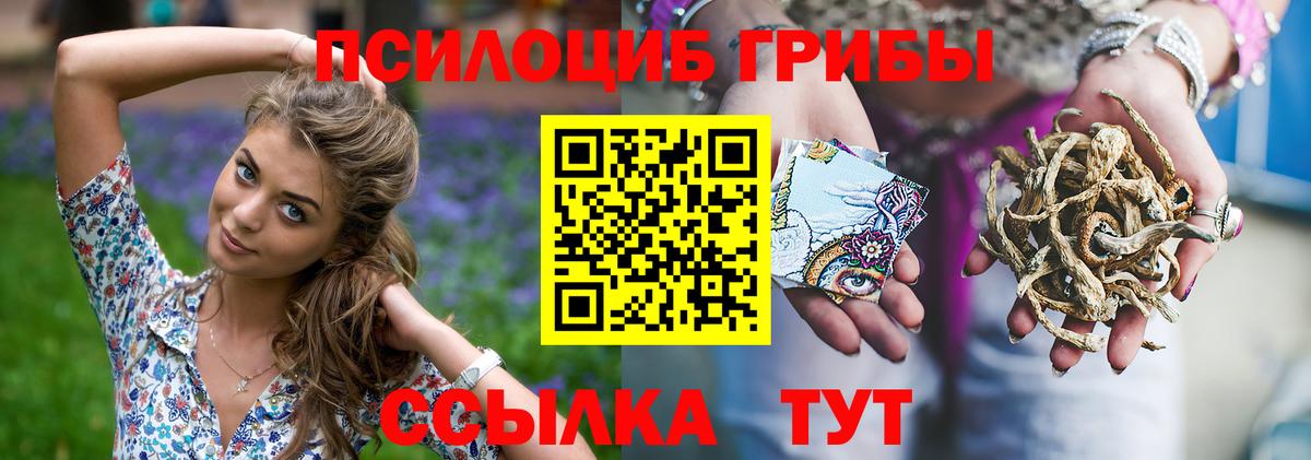 Галлюциногенные грибы прущие грибы  Псилоцибиновые грибы мухоморы  Вход с VPN  Кемерово 