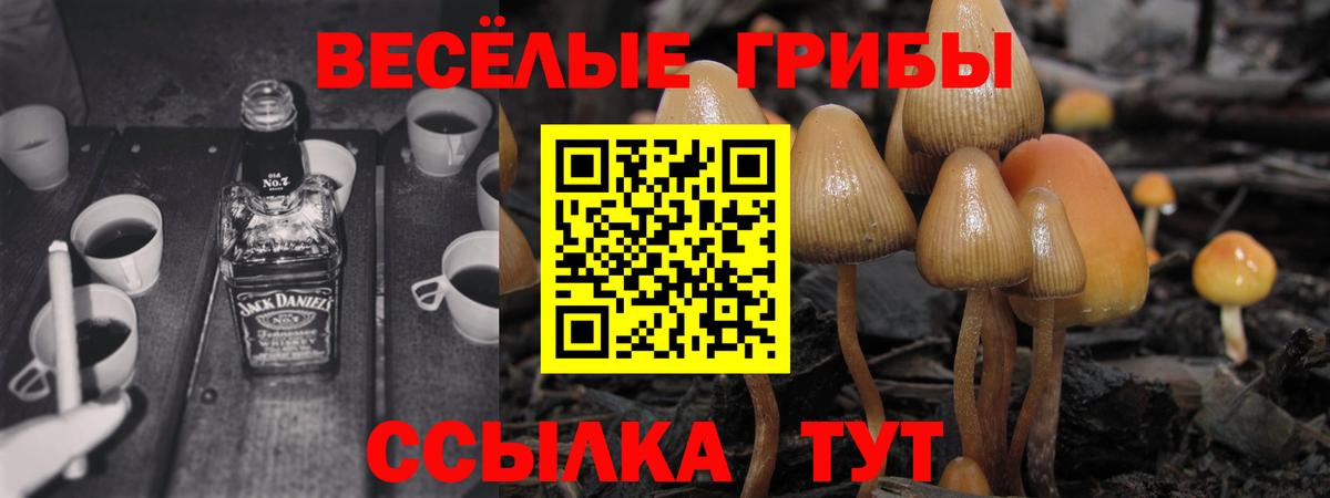 Псилоцибиновые грибы GOLDEN TEACHER Кемерово